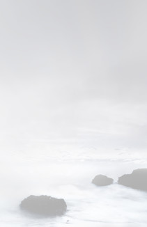 天伦月饼,天伦月饼官网,天伦食品,天伦食品官网